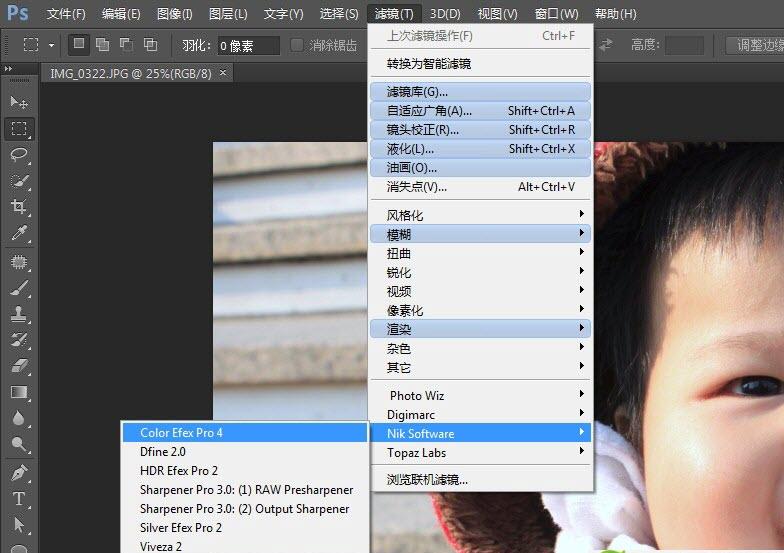Nik Software Complete Collection(PS CS6�῵רҵ�˾��׼��ϼ�)����